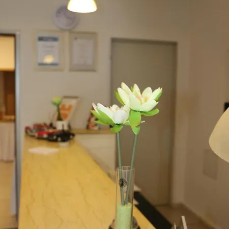 Voyage Bed & Breakfast Bonn