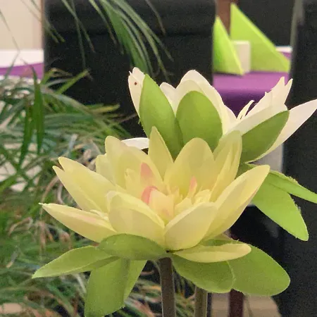 Voyage Bed and Breakfast Βόννη